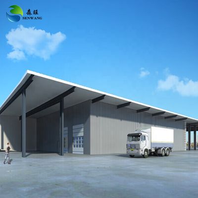 Customizable Steel Structure Warehouse with Snow Load 30-200kg Per Sqm and Optional Fire Protection System