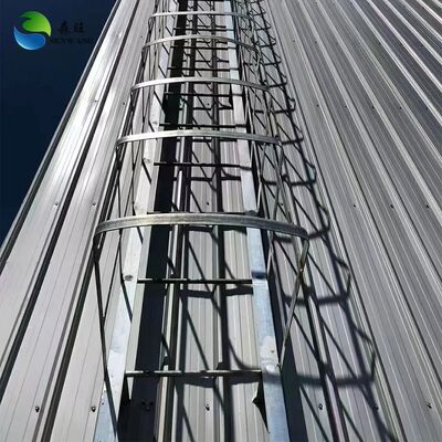 ऊर्जा कुशल भंडारण के लिए सैंडविच पैनल दीवार के साथ किफायती इस्पात संरचना गोदाम